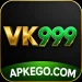 VK 999 Game