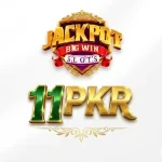 11 PKR Game APK Download New Earning App For Android 2026
