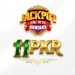 11 PKR Game APK Download New Earning App For Android 2026